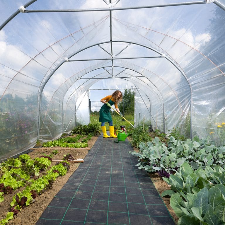 RÖMI® Start Up Folientunnel 3,5 x 12 m Profiqualität für den Garten